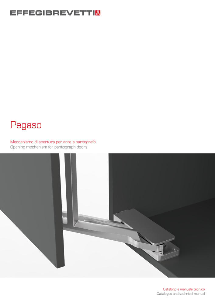 Download Pegaso